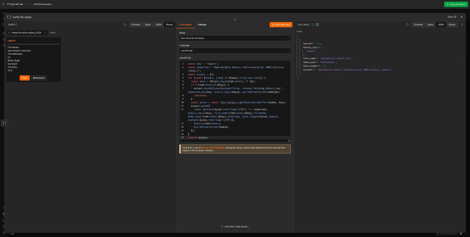 n8n binary data test in Cloud showing report, passed true and a 53-byte file