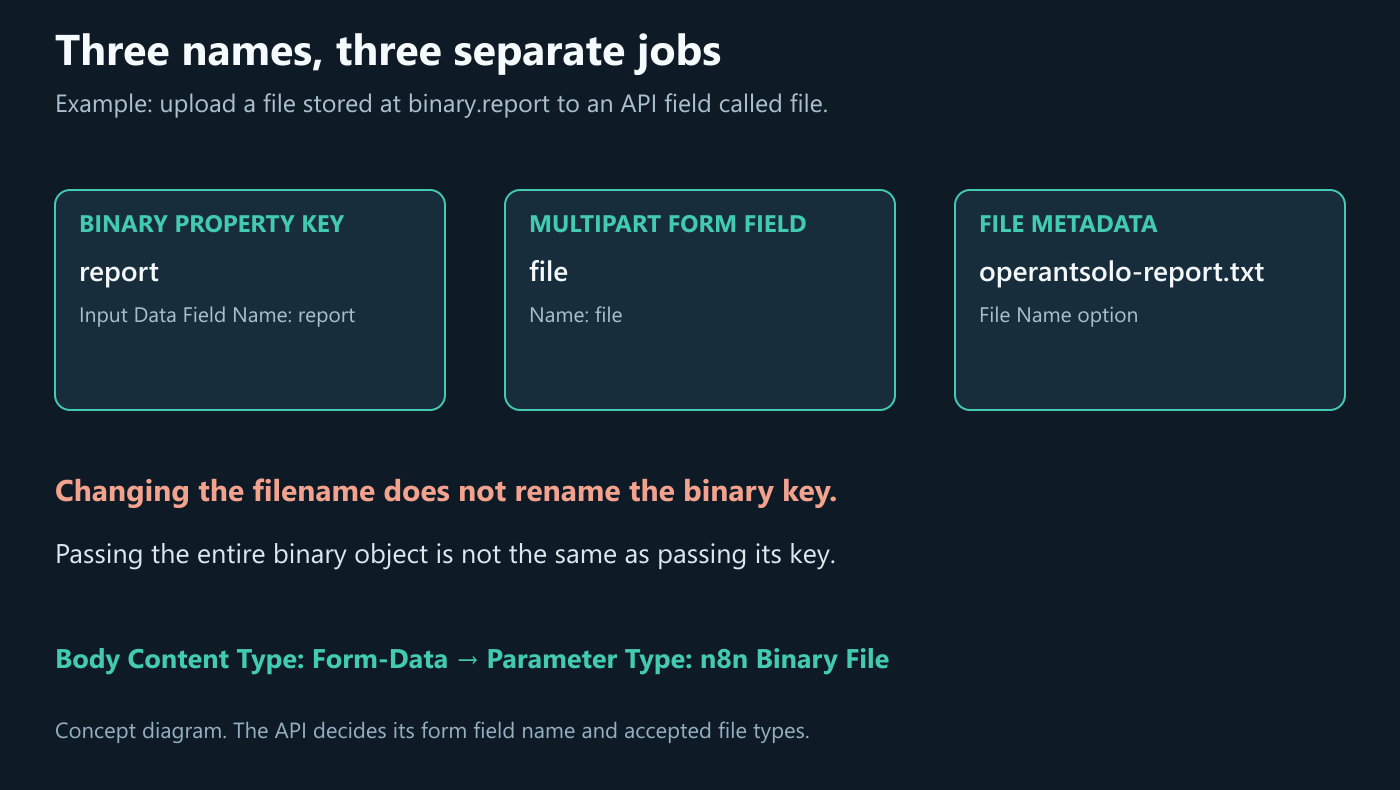 n8n binary data diagram separating the binary key, API form field and filename